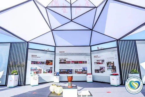 直擊第五屆江蘇志愿服務(wù)展示交流會(huì)開幕 蘇州市青年“手繪鄉(xiāng)村”志愿服務(wù)項(xiàng)目特展現(xiàn)場(chǎng)紀(jì)實(shí)